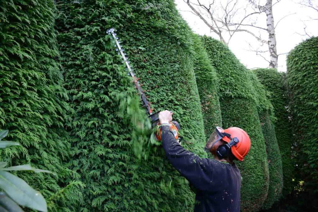 Hedge Shaping